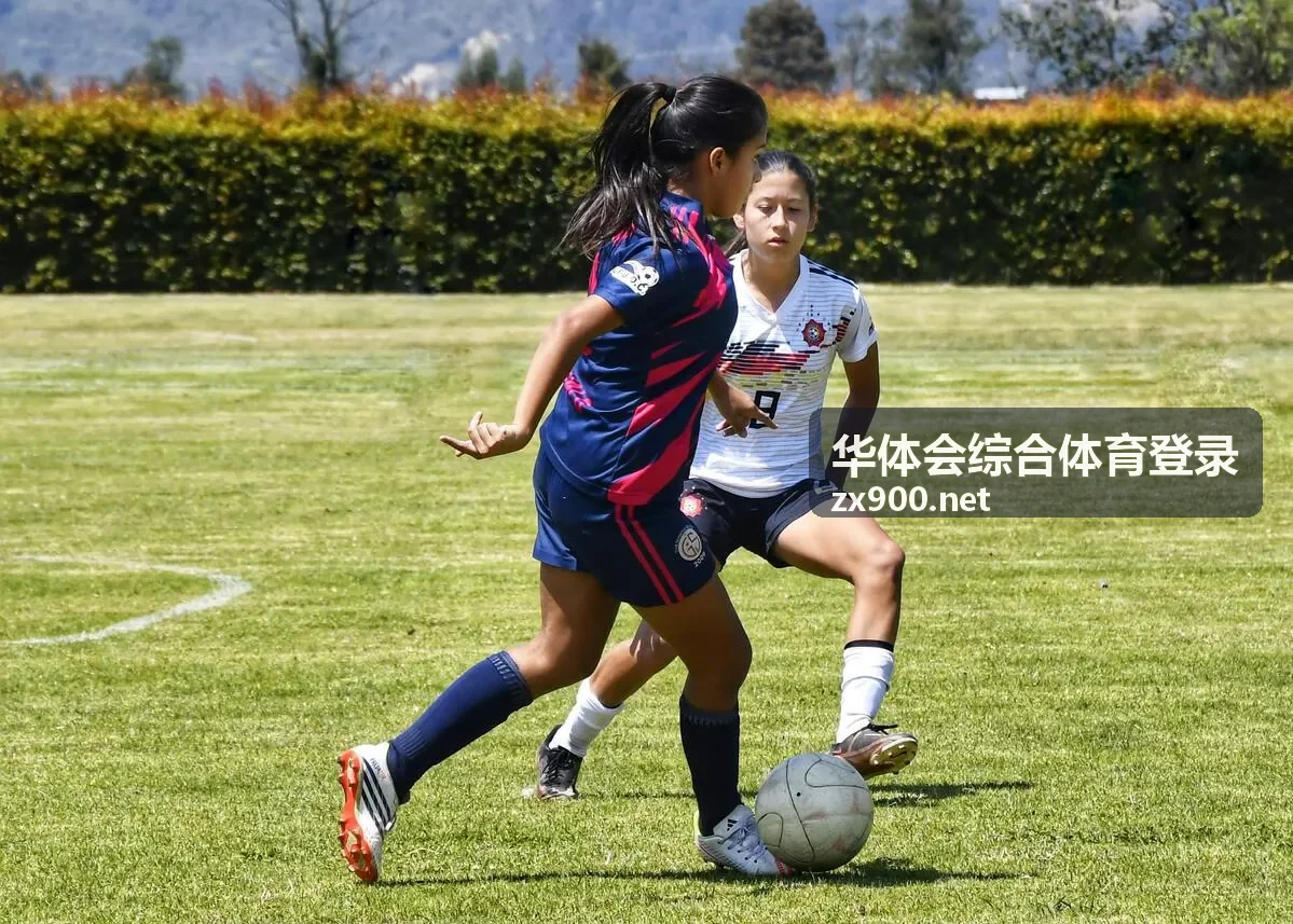 华体会综合体育登录平台内容展示